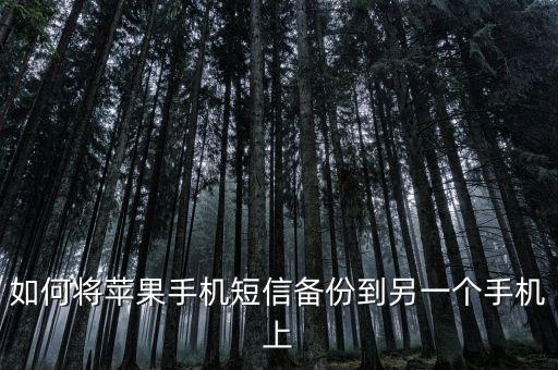 如何將蘋果手機(jī)短信備份到另一個手機(jī)上