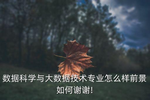 數(shù)據(jù)科學(xué)與大數(shù)據(jù)技術(shù)專業(yè)怎么樣前景如何謝謝!