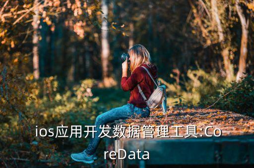ios 數(shù)據(jù)庫(kù) 查詢昨天 今天 明天