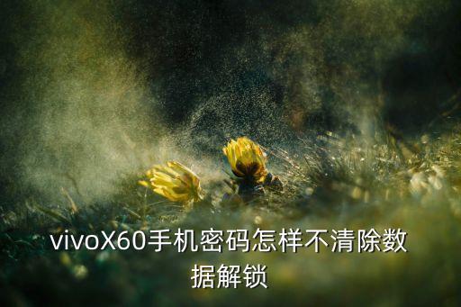 不破壞數(shù)據(jù)清除鎖屏,iphone不刪數(shù)據(jù)怎么辦?