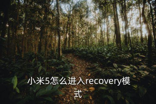 小米5電池設(shè)置清楚數(shù)據(jù),小米手機(jī)換電池會丟失數(shù)據(jù)嗎
