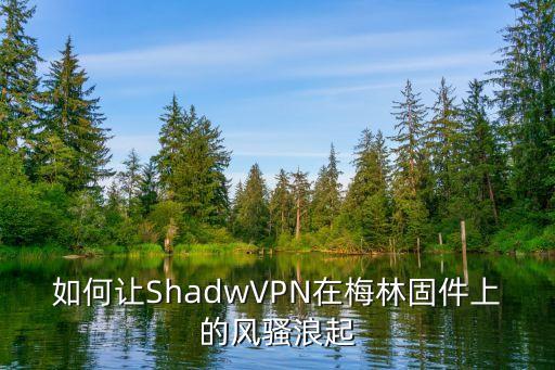 如何讓ShadwVPN在梅林固件上的風(fēng)騷浪起