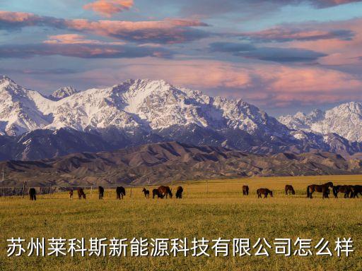 蘇州萊科斯新能源科技有限公司怎么樣