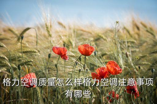 格力的自動(dòng)化設(shè)備如何,格力天麗空調(diào)優(yōu)點(diǎn)及缺點(diǎn)