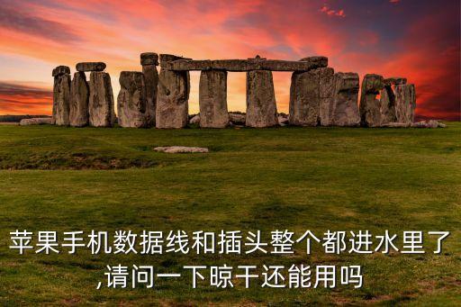 蘋果手機數(shù)據(jù)線和插頭整個都進(jìn)水里了,請問一下晾干還能用嗎