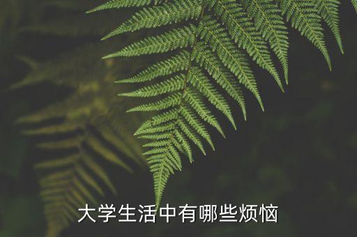 大學(xué)生活中有哪些煩惱