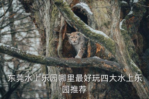 東莞頂特自動(dòng)化有限公司,東莞鼎力薄膜科技有限公司