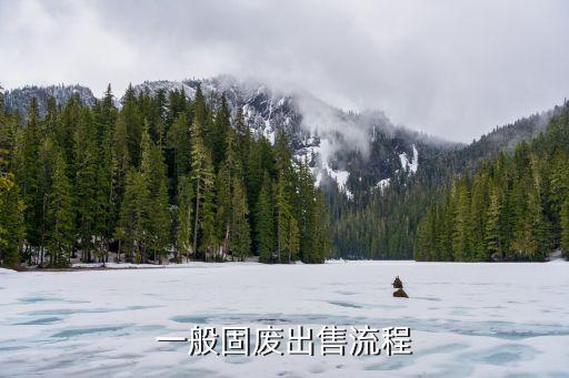 一般固廢出售流程