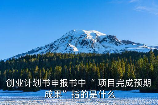 創(chuàng)業(yè)計劃書申報書中“ 項(xiàng)目完成預(yù)期 成果”指的是什么