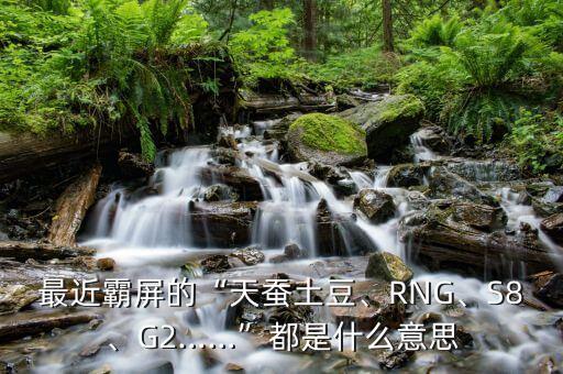 rng是啥意思,rng復活賽是什么意思?
