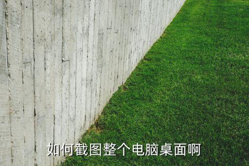 如何截圖整個電腦桌面啊