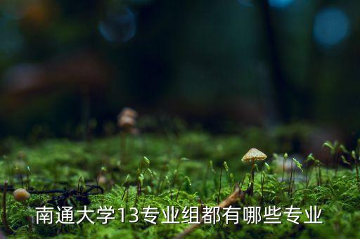 南通大學13專業(yè)組都有哪些專業(yè)