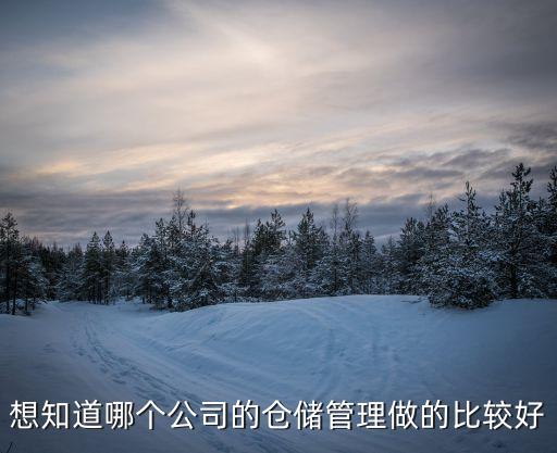 物流自動(dòng)化倉(cāng)儲(chǔ)公司排名,哪些物流公司排名不錯(cuò)?