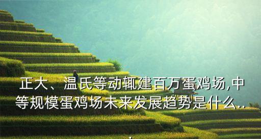  正大、溫氏等動輒建百萬蛋雞場,中等規(guī)模蛋雞場未來發(fā)展趨勢是什么...
