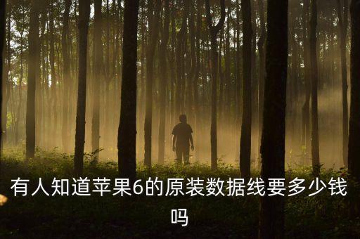 數(shù)據(jù)線(xiàn)便宜有利潤(rùn)么,拼多多數(shù)據(jù)線(xiàn)為何這么便宜?