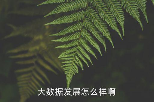大數(shù)據(jù)發(fā)展怎么樣啊