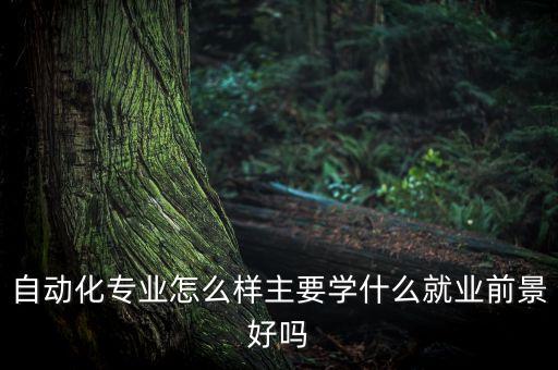 自動化專業(yè)怎么樣主要學(xué)什么就業(yè)前景好嗎