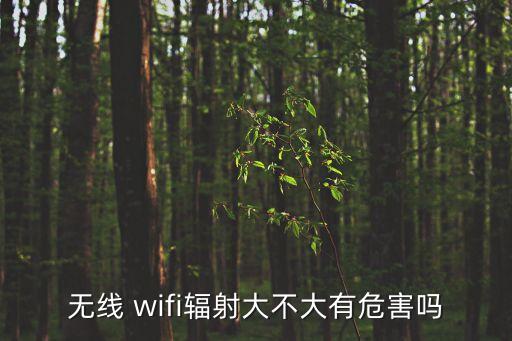 wifi輻射,wifi輻射大嗎?一起來看看