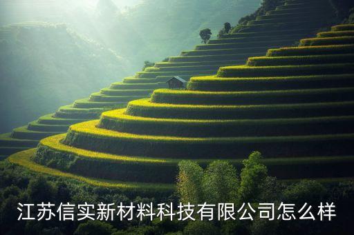 揚(yáng)州蘇源自動(dòng)化設(shè)備,電力工程自動(dòng)化設(shè)備租賃公司怎么樣?