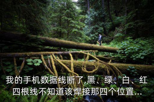 我的手機數(shù)據(jù)線斷了,黑、綠、白、紅四根線不知道該焊接那四個位置...