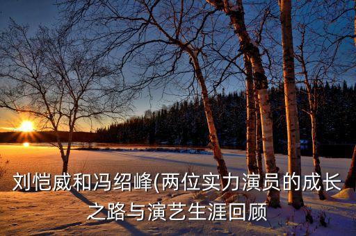 馮少峰,馮紹峰的前妻是誰?