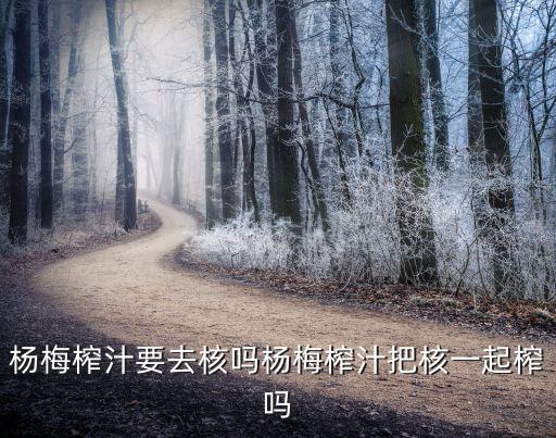 楊梅榨汁要去核嗎楊梅榨汁把核一起榨嗎