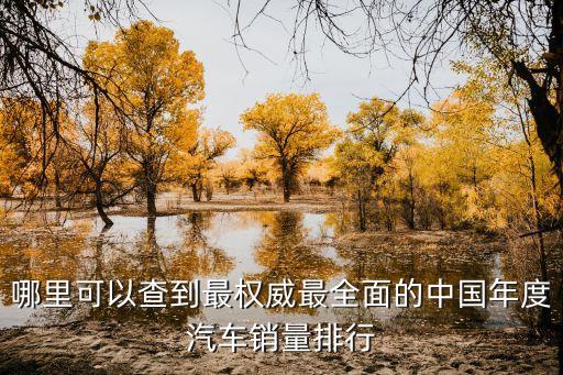 哪里可以查到最權威最全面的中國年度汽車銷量排行