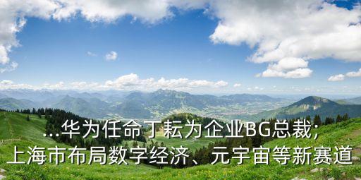 ...華為任命丁耘為企業(yè)BG總裁;上海市布局?jǐn)?shù)字經(jīng)濟(jì)、元宇宙等新賽道