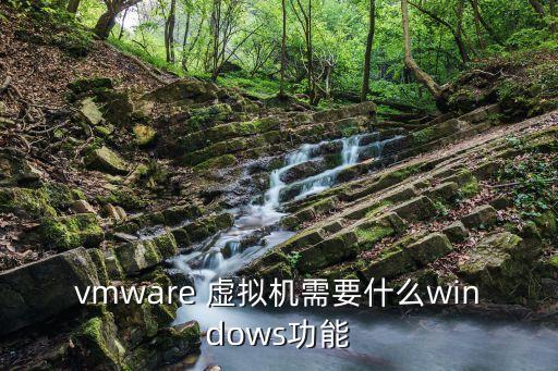 vmware 虛擬機(jī)需要什么windows功能