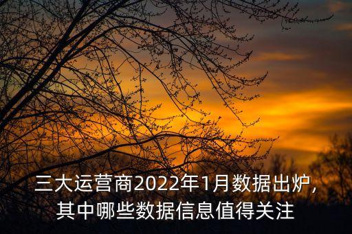 三大運(yùn)營商2022年1月數(shù)據(jù)出爐,其中哪些數(shù)據(jù)信息值得關(guān)注