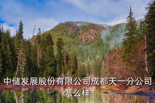 中儲(chǔ)發(fā)展股份有限公司成都天一分公司怎么樣