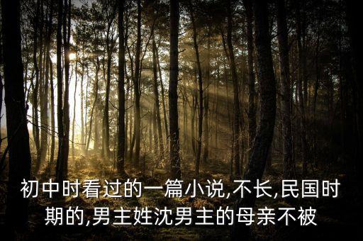 初中時(shí)看過的一篇小說,不長(zhǎng),民國時(shí)期的,男主姓沈男主的母親不被