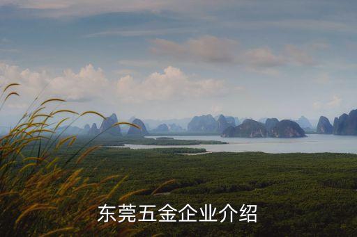 東莞市知名自動(dòng)化設(shè)備