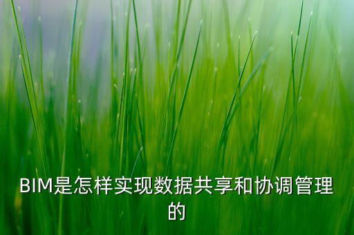 BIM是怎樣實(shí)現(xiàn)數(shù)據(jù)共享和協(xié)調(diào)管理的