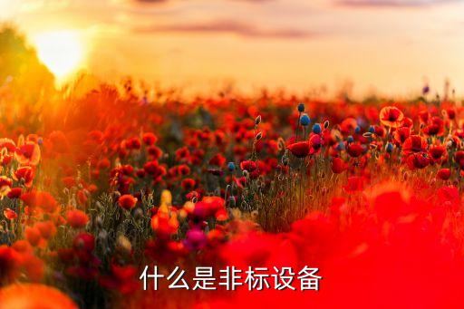 什么是非標(biāo)設(shè)備