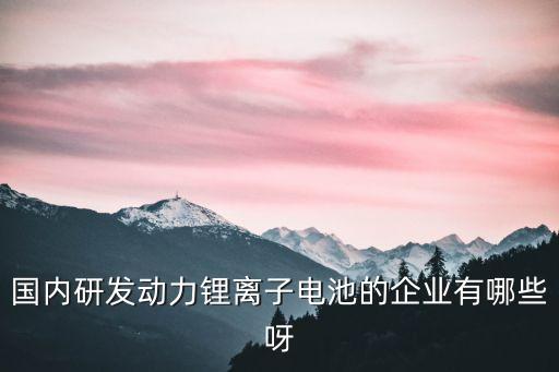 國內(nèi)研發(fā)動(dòng)力鋰離子電池的企業(yè)有哪些呀