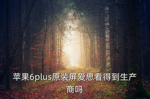 蘋果6plus原裝屏愛思看得到生產(chǎn)商嗎