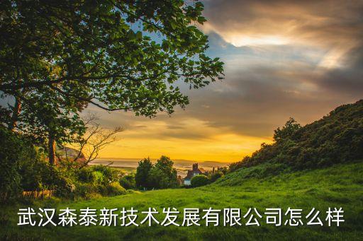 漢口做自動(dòng)化設(shè)備的公司,武漢飛泰智能設(shè)備有限公司怎么樣?