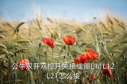 公牛雙開(kāi)雙控開(kāi)關(guān)接線圖L11L12L21怎么接