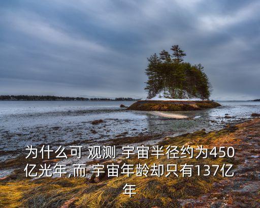 可觀測宇宙