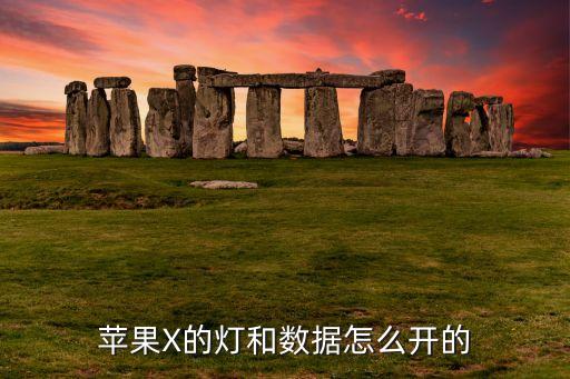 蘋果X的燈和數(shù)據(jù)怎么開的