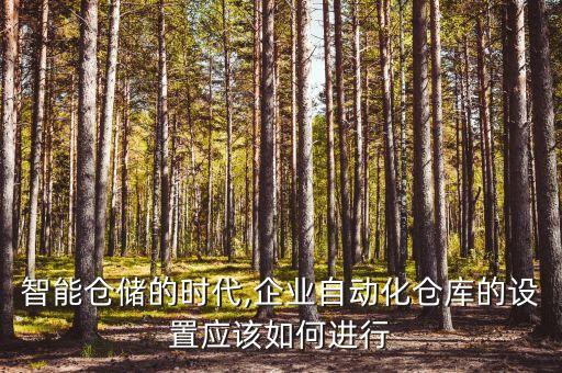 智能倉(cāng)儲(chǔ)的時(shí)代,企業(yè)自動(dòng)化倉(cāng)庫(kù)的設(shè)置應(yīng)該如何進(jìn)行