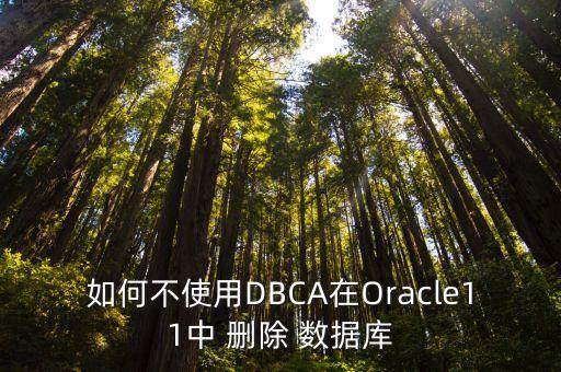 oracle如何刪除一個(gè)數(shù)據(jù)庫(kù),如何將oracle刪除干凈