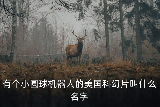 有個(gè)小圓球機(jī)器人的美國(guó)科幻片叫什么名字