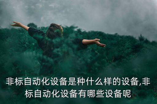 組裝檢查自動(dòng)化設(shè)備是什么,標(biāo)準(zhǔn)自動(dòng)化設(shè)備是什么?