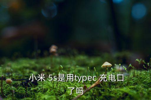  小米 5s是用typec 充電口了嗎