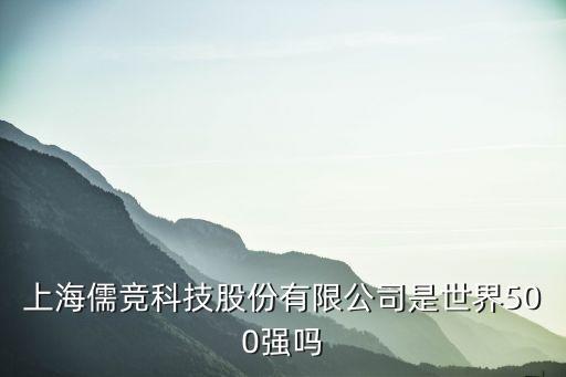 上海儒競科技股份有限公司是世界500強(qiáng)嗎