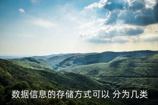  數(shù)據(jù)信息的存儲方式可以 分為幾類