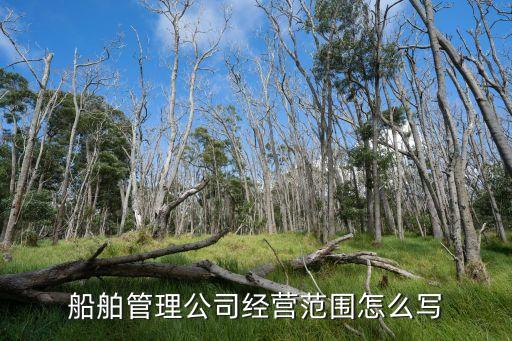 船舶管理公司經(jīng)營范圍怎么寫
