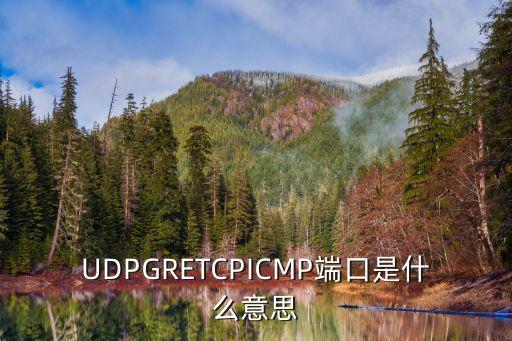udp端口號(hào),請(qǐng)教如何判斷udp端口號(hào)是否被占用?